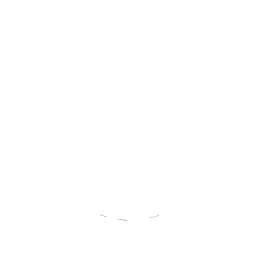 Tauch-Club-Singen